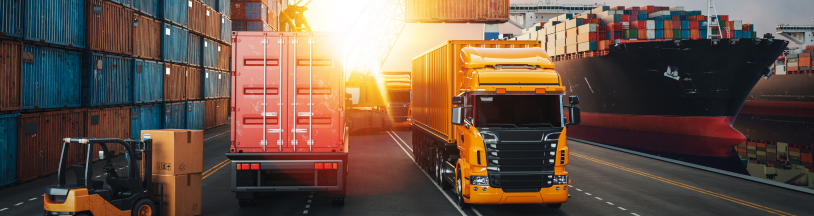 Addressing Your Supply Chain Crisis with Interim Talent