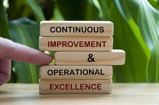 What Is an Interim Manager? How Do They Add Value to the Organization?