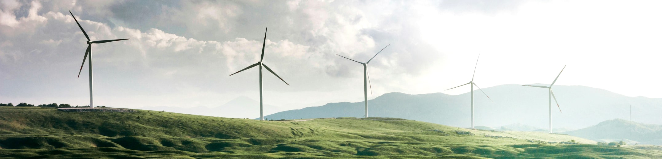 wind mills