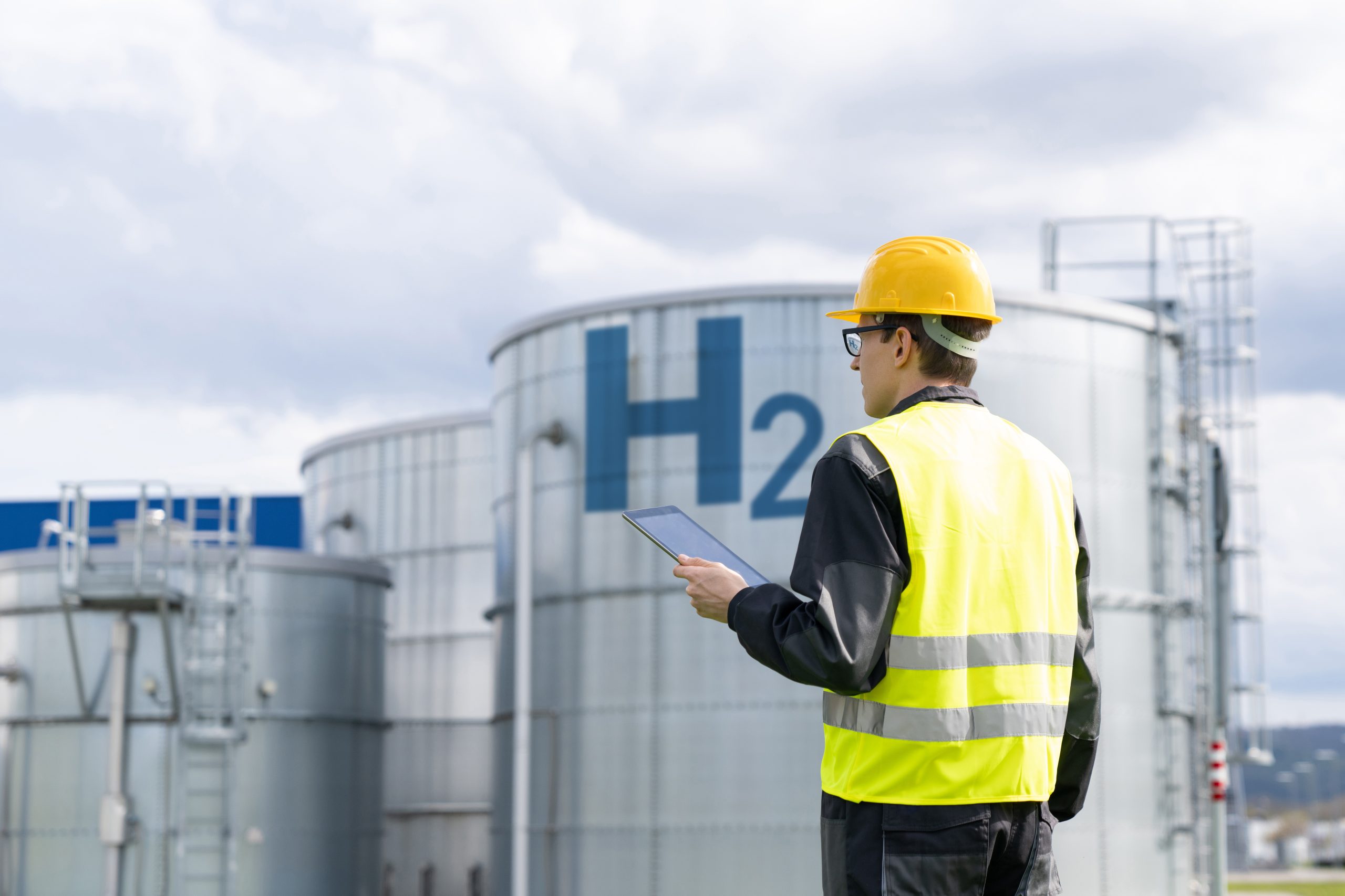 h2 plant